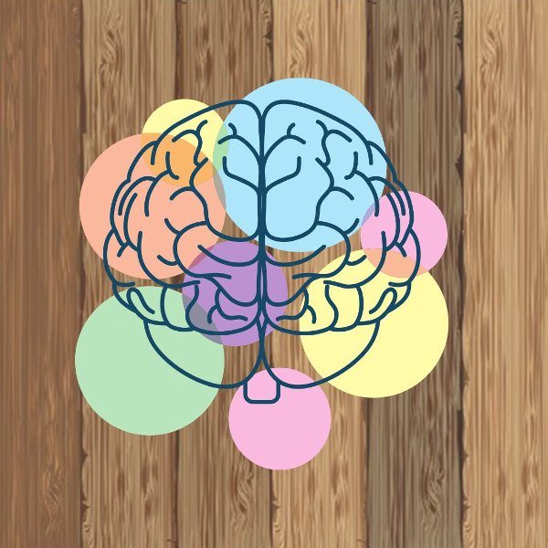 Brain illustration on a hardwood floor background