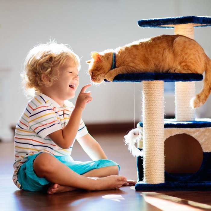 Child sitting on a pet friendly floor while playing with a cat