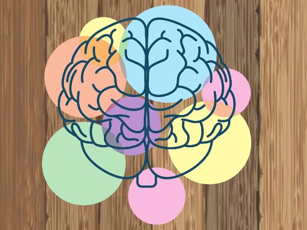 Brain illustration on a hardwood floor background