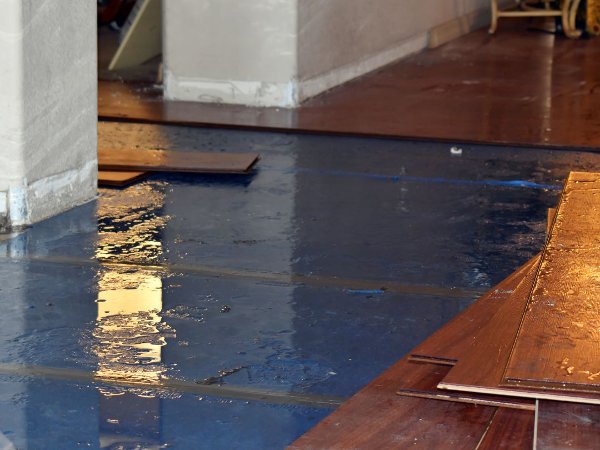 Water Damage under hardwood floor planks