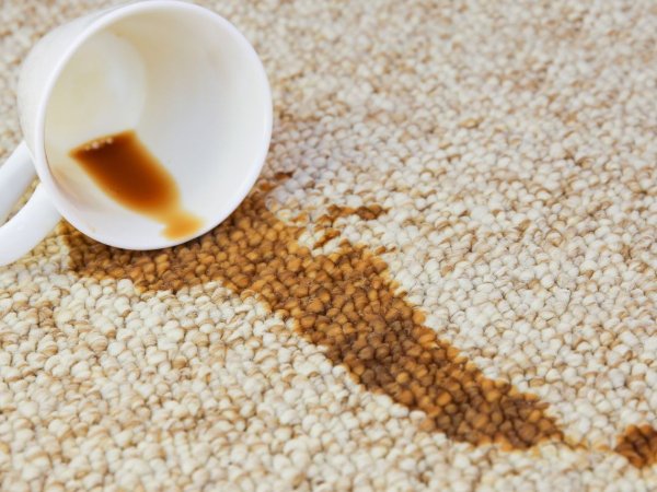 Spilled coffee cup on a beige carpet floor