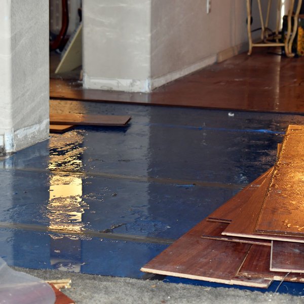 Water Damage under wood floor planks